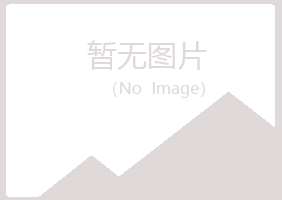 岐山县曾经制造有限公司